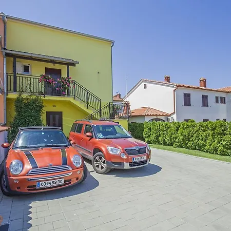 Javor * Ρόβινι