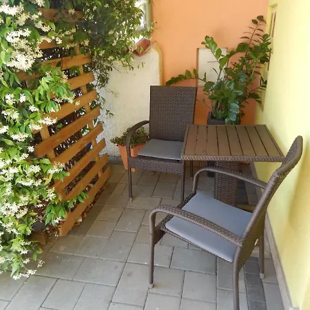 Apartment Javor *