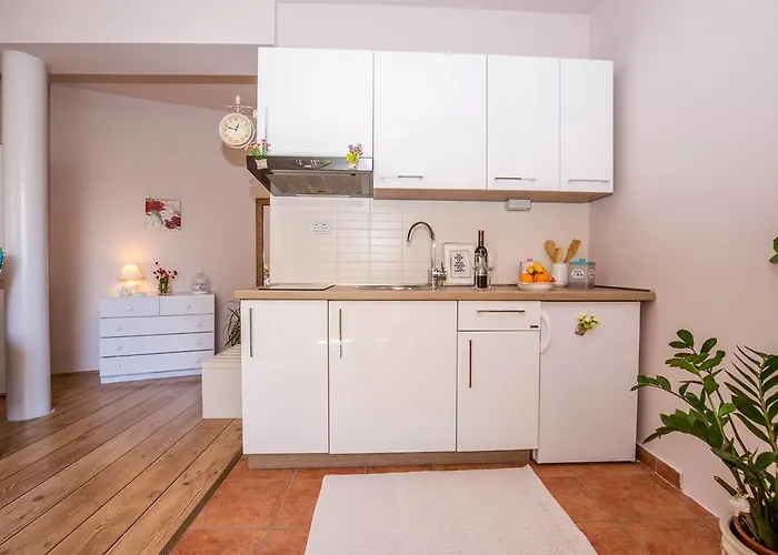 Javor * Ρόβινι