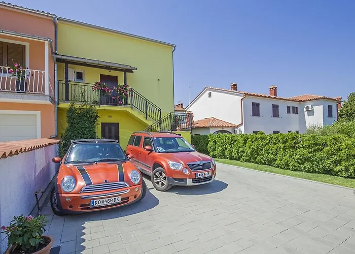 Javor * Ρόβινι