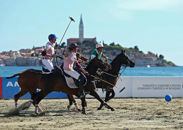 Javor Διαμέρισμα Ρόβινι